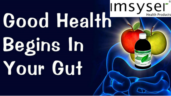 The Importance of Gut Health