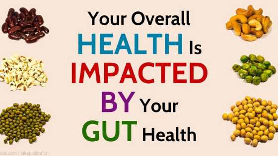 Gut Health Is Everything!!