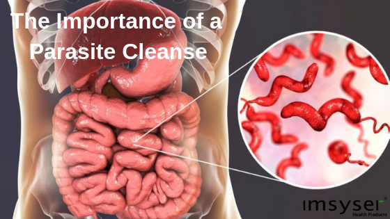 ﻿Parasite Cleanse… The True Value therein…