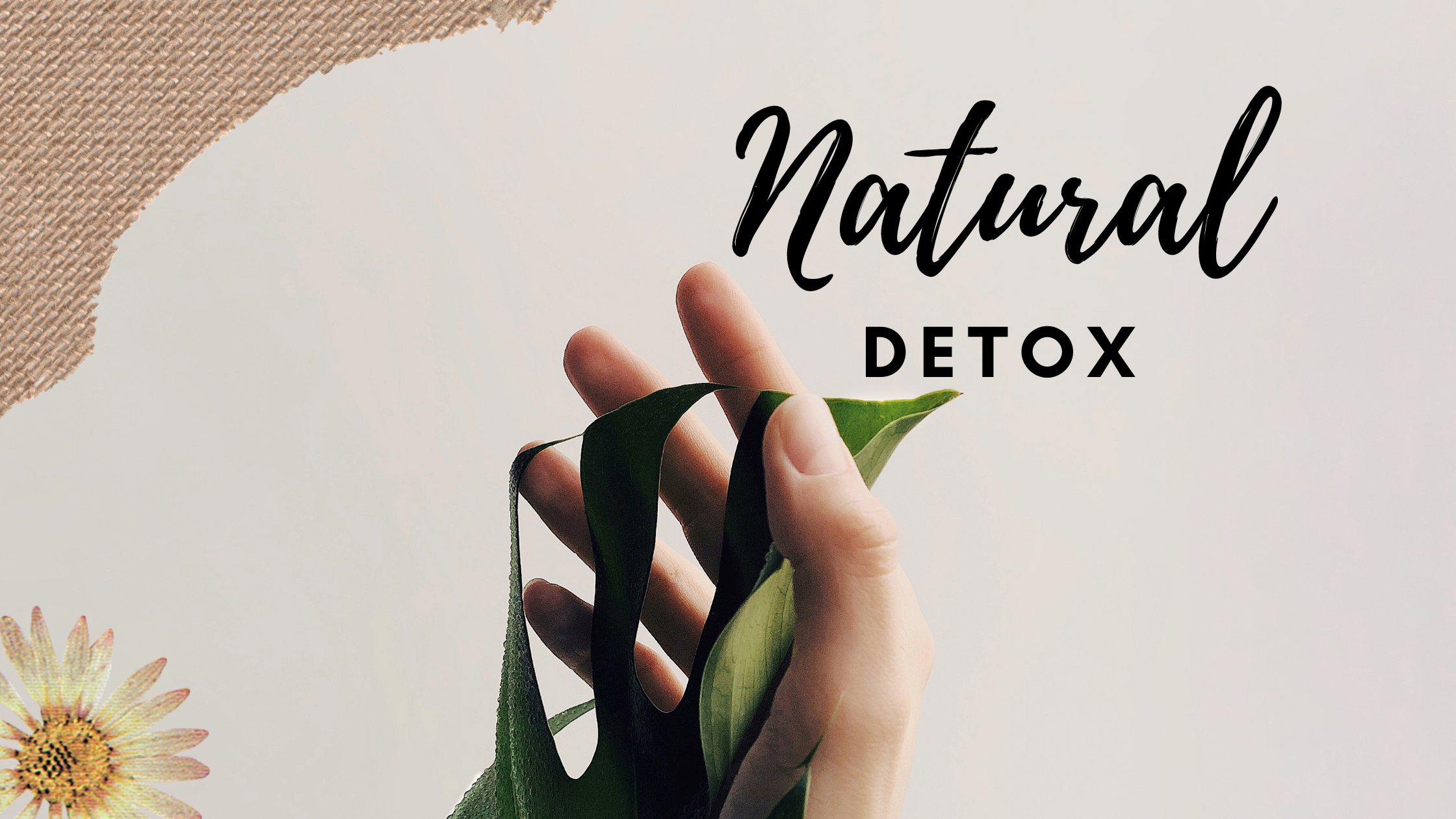 Detox Your Way To Better Health